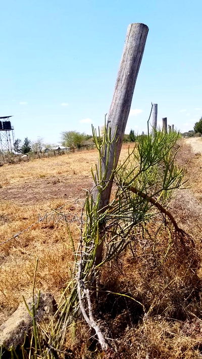 Prime Land for Sale Korompoi Kitengela - Image 1