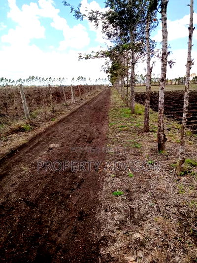 Shamba Ya Kuuzwa Kitengela With Ready Title - Image 2