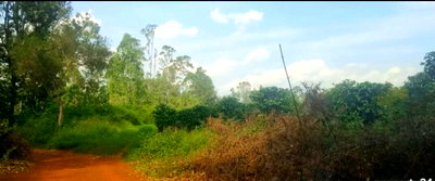 138-Acre Garden Land in Kiambu