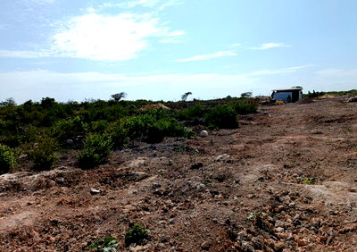 50x100 Plot with Garden in Malindi