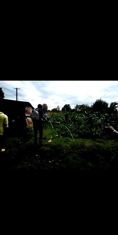 1.4M Plot in East Gem