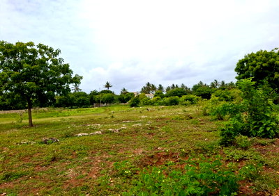 2-Acre Garden Plot at KSh 2.5M
