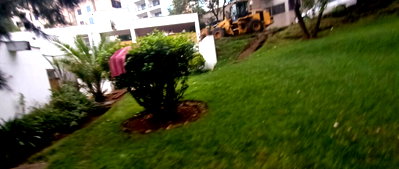 1 Acre Kileleshwa Land with Garden
