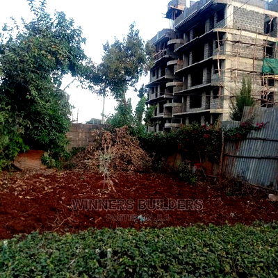 100 by 100 Plot for Sale at Kiamumbi - Image 3