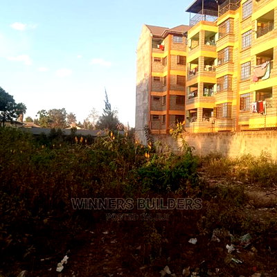 100 by 100 Plot for Sale at Kiamumbi - Image 2