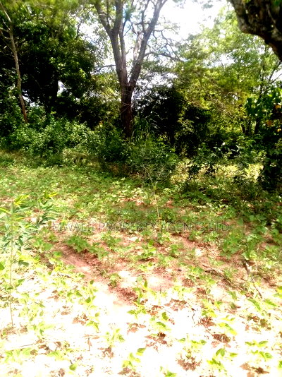 Specially Priced Plots, Mulutu,Kitui - Image 1