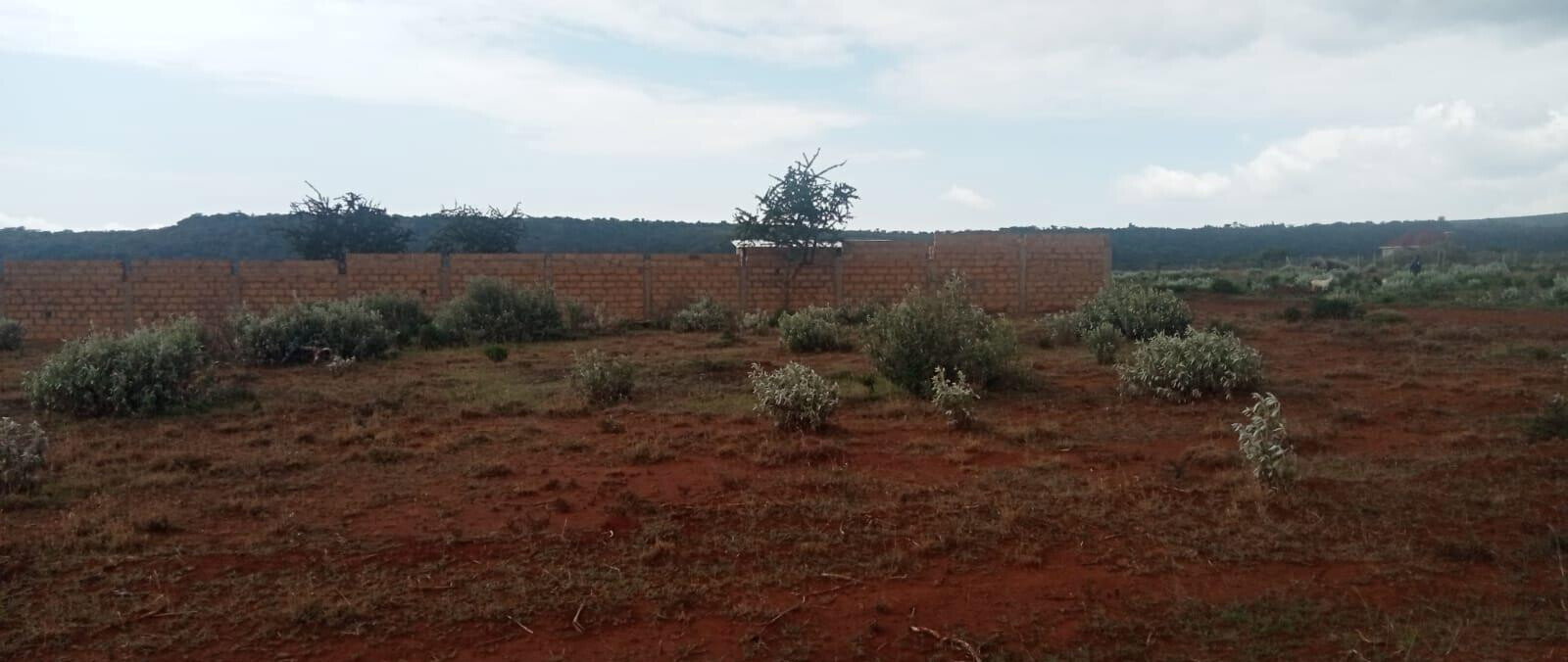 Quarter Acre Plot at KSh 1.5M