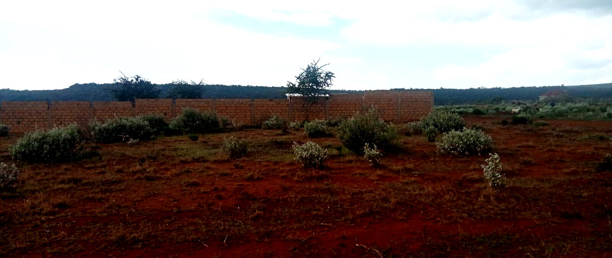 Quarter Acre Plot at KSh 1.5M