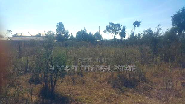 1/4 Plot Touching Tarmac Kimumu Hawaii