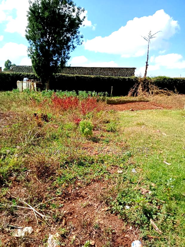1/4 Plot Kimumu/Betterfarm With Title