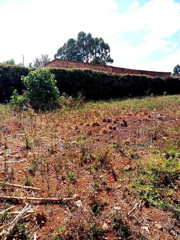 1/4 Plot Kimumu/Betterfarm With Title