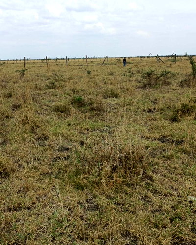 815 Acres in Kisaju for KSh 900K