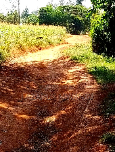 50 by 100 Plot for Sale Kiarukungu Mwea - Image 4