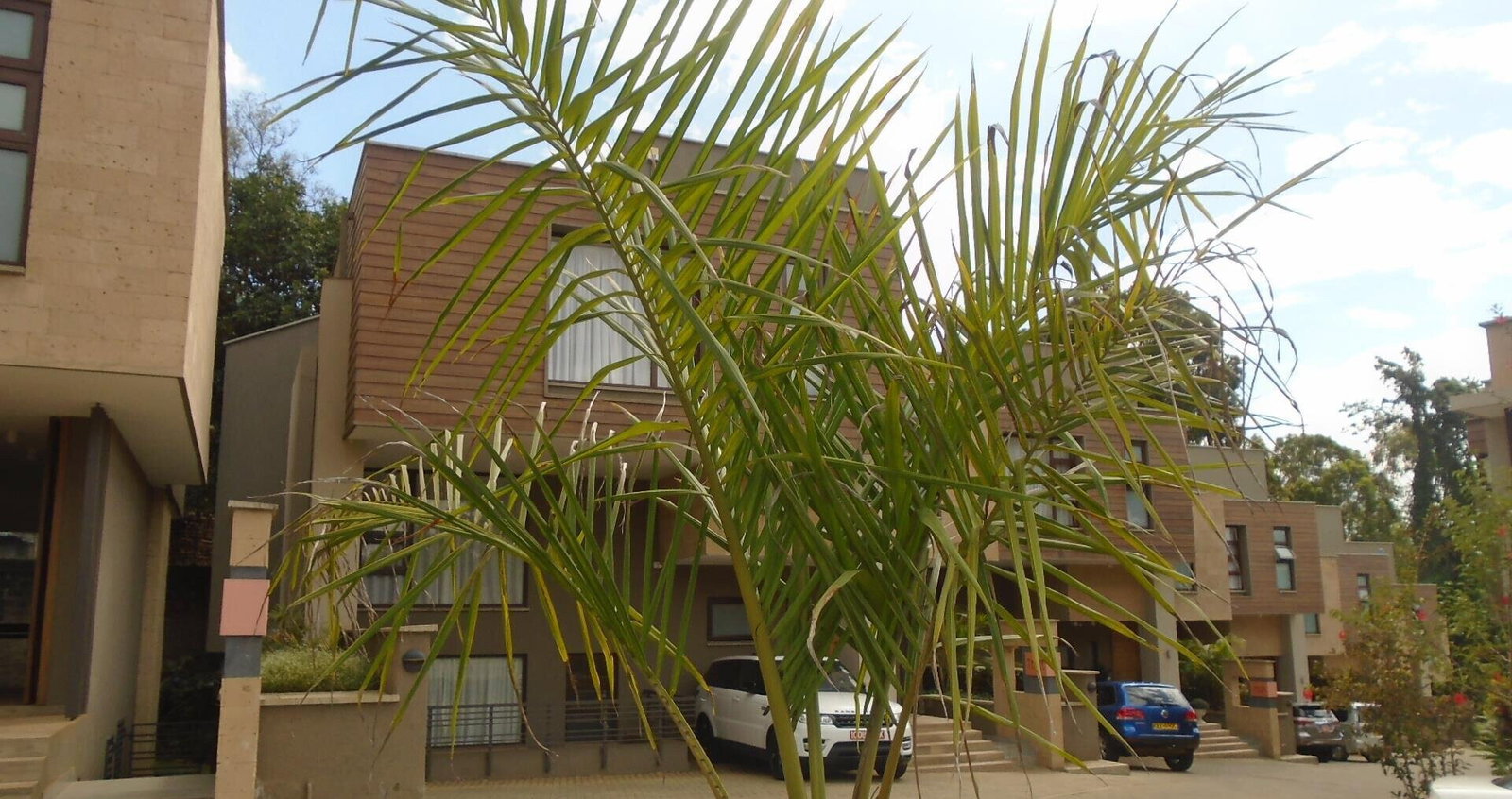 5-Ensuite Townhouse with Study & Family Room - Lavington
