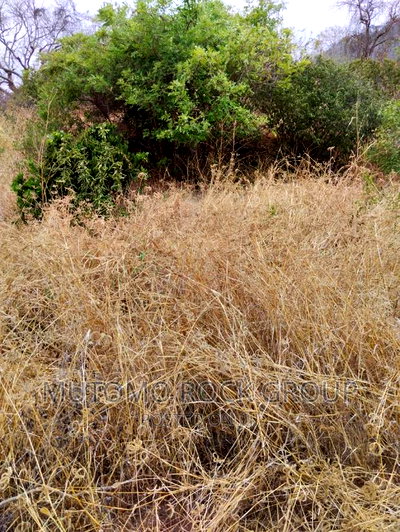 100acres for Sale With Title - Image 4