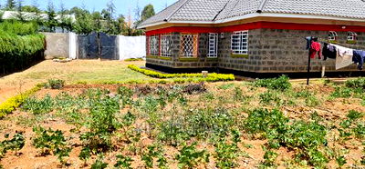 4bdrm Bungalow in Autspan, Racecourse for Sale - Image 6