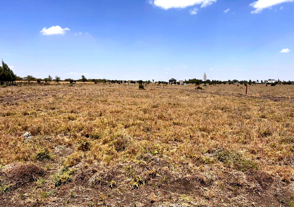 1/8 Acre Plot Under 1.5M