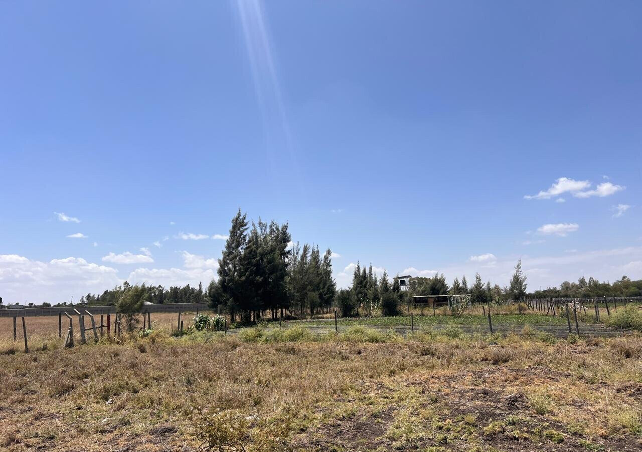 1/8 Acre Plot Under 1.5M