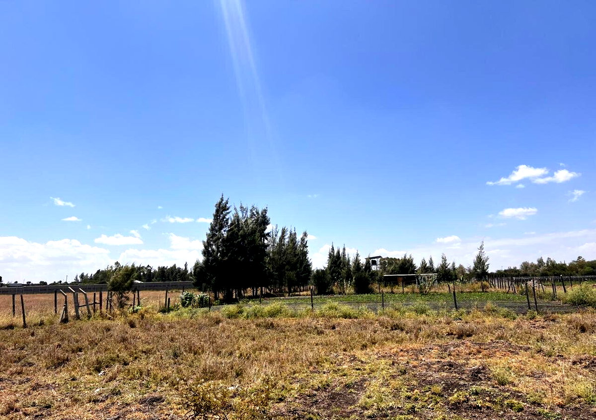 1/8 Acre Plot Under 1.5M