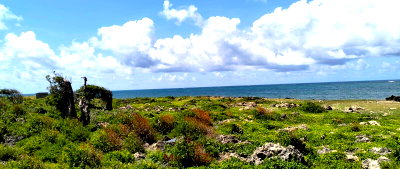 Quarter Acre Beachfront Plot in Mayungu
