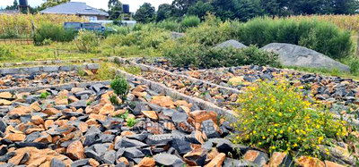 Prime Plot With Approved 3 Bedroom House for Sale Kipkenyo - Image 3