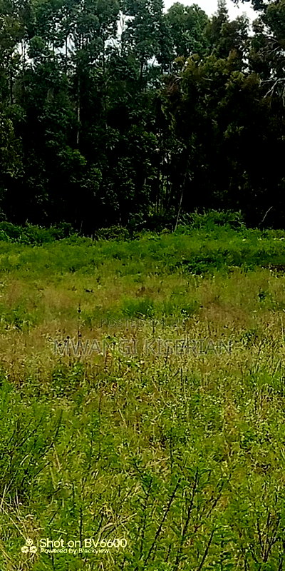 1acre of Land Between Kiserian and Matasia - Image 3