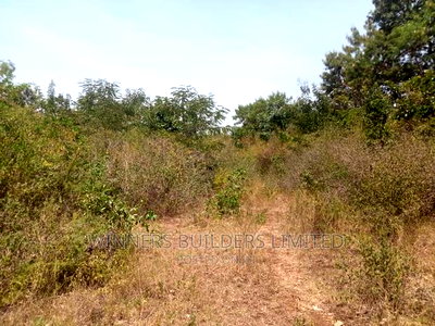 3 1/2 Acres For Sale At Kirinyaga County ,Rukaga - Image 4