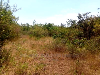3 1/2 Acres For Sale At Kirinyaga County ,Rukaga - Image 5
