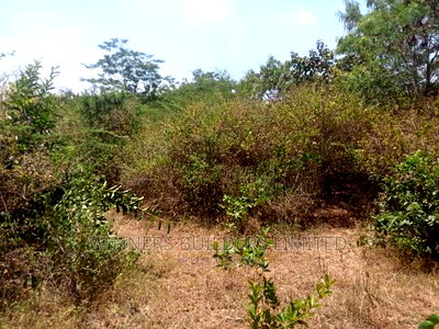 3 1/2 Acres For Sale At Kirinyaga County ,Rukaga - Image 2