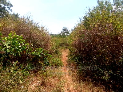 3 1/2 Acres For Sale At Kirinyaga County ,Rukaga - Image 7