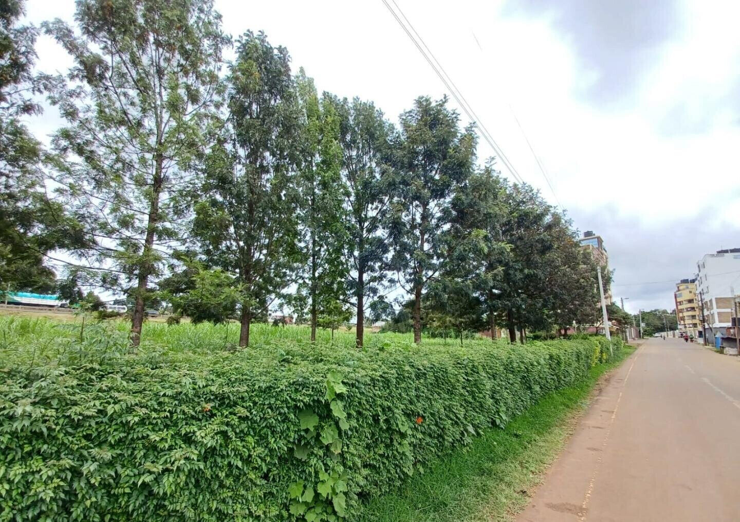 1 Acre Farm for Rent at KSh 150K