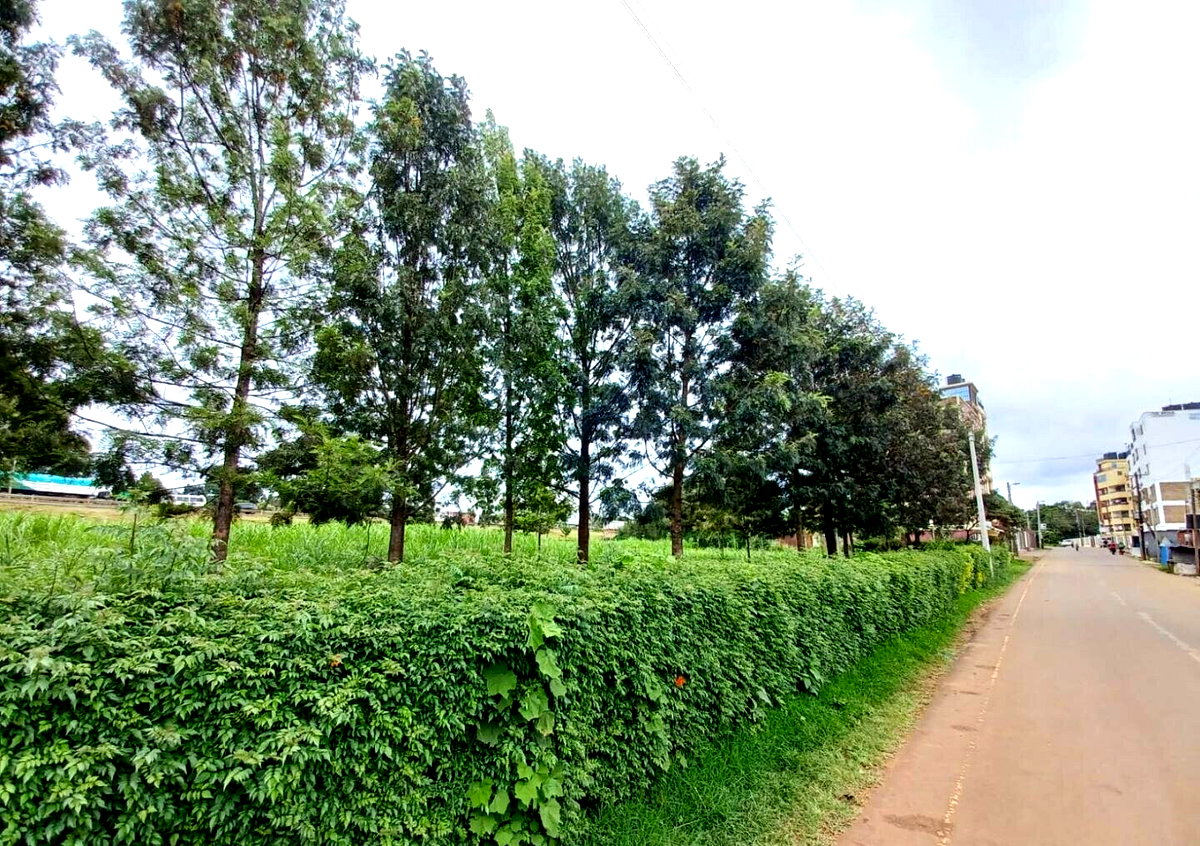 1 Acre Farm for Rent at KSh 150K