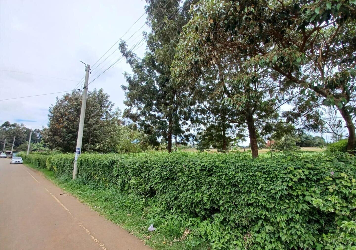 1 Acre Farm for Rent at KSh 150K