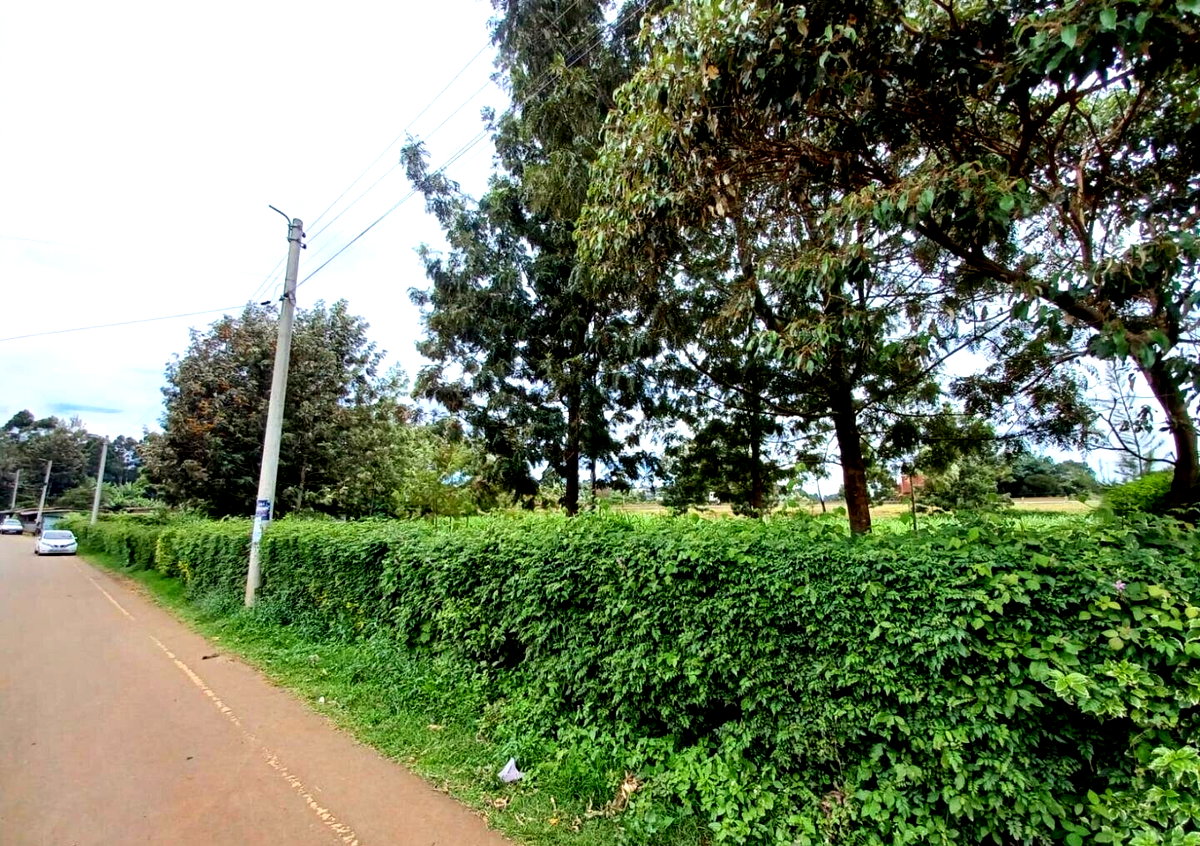 1 Acre Farm for Rent at KSh 150K