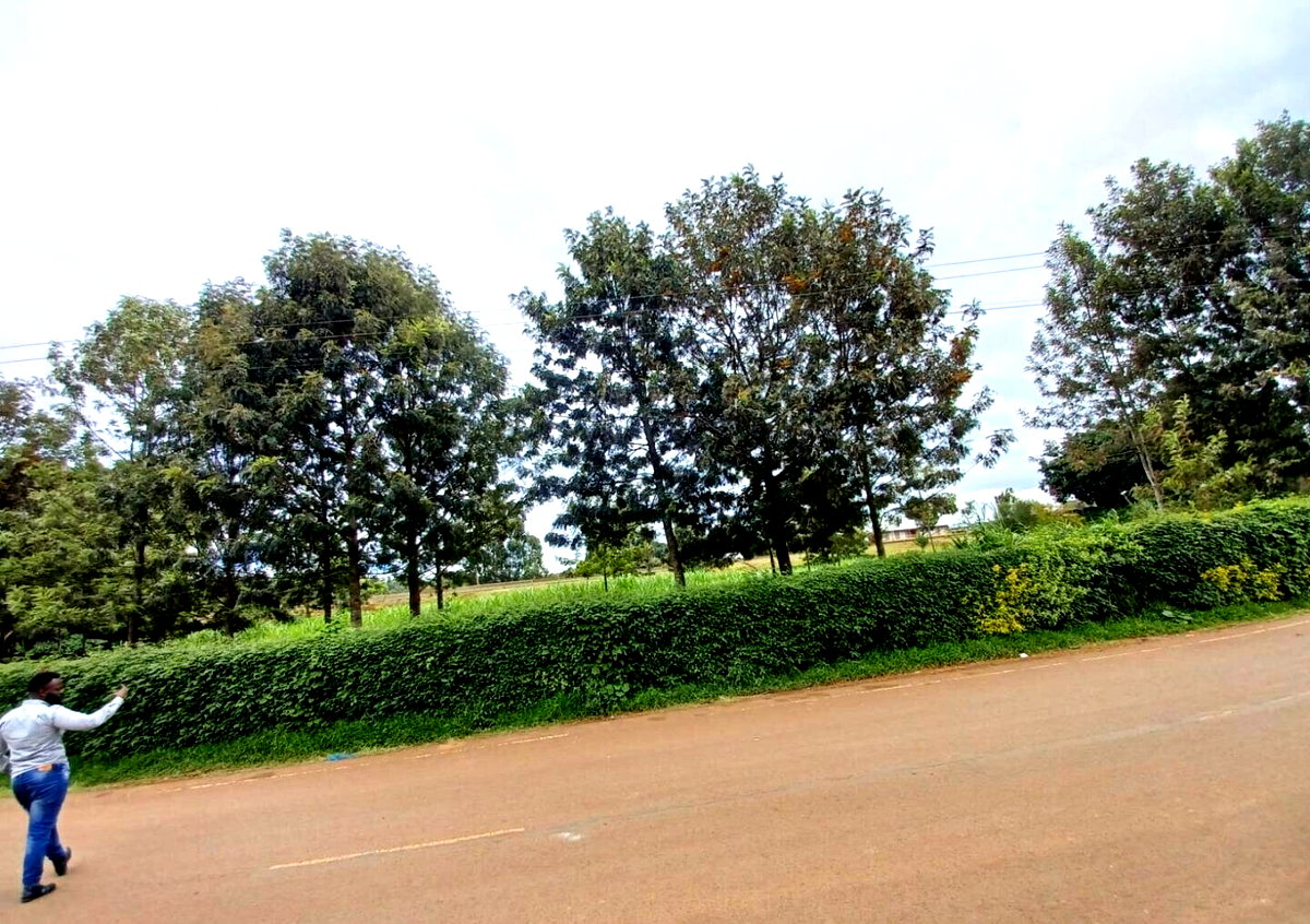 1 Acre Farm for Rent at KSh 150K