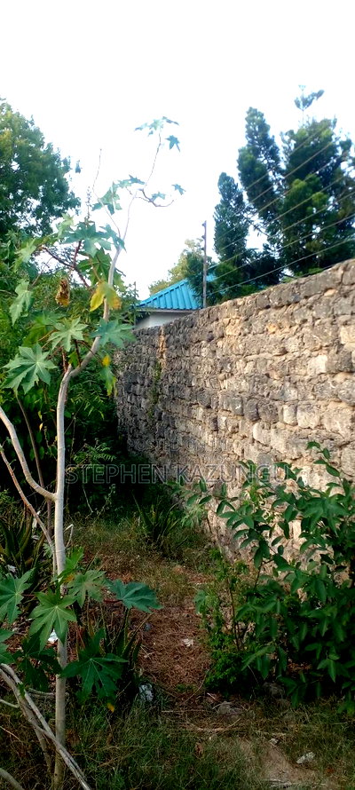 Diani Beach 1 Acre Plot on 3rd Row for Sale Behind Manyatta. - Image 8