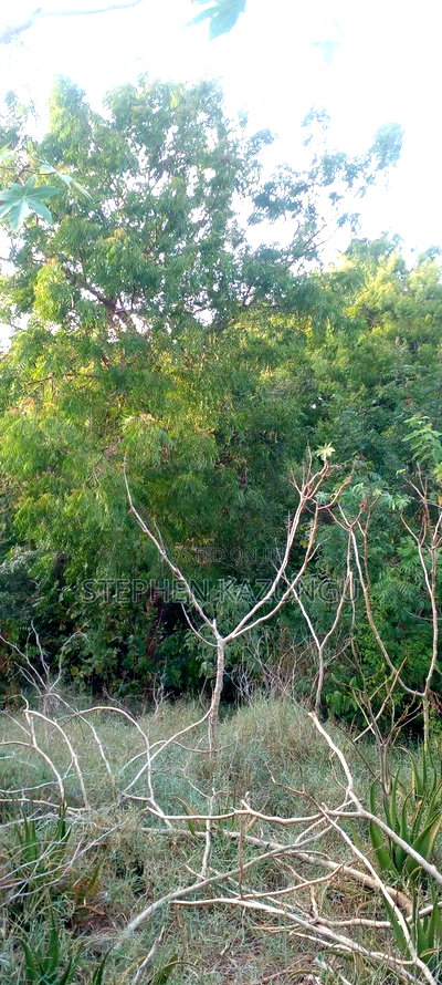 Diani Beach 1 Acre Plot on 3rd Row for Sale Behind Manyatta. - Image 10