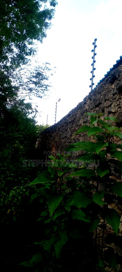 Diani Beach 1 Acre Plot on 3rd Row for Sale Behind Manyatta. - Image 4