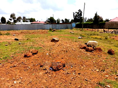 1/4 Plot for Sale in Chemaluk After Marura in Eldoret - Image 1
