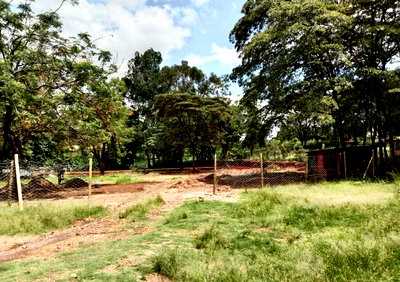4-Acre Commercial Land with Garden