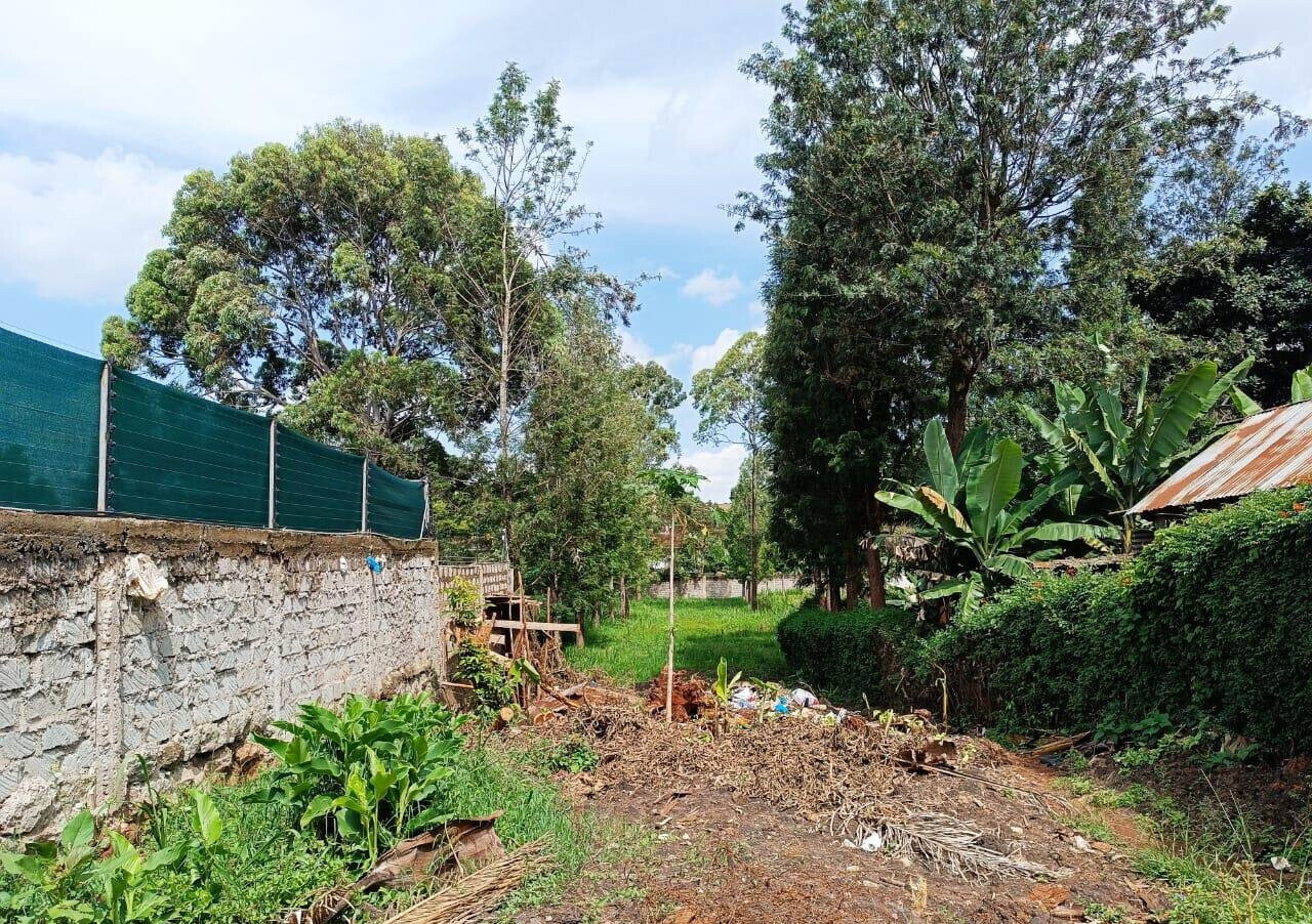 KSh 350K Office Space with Garden