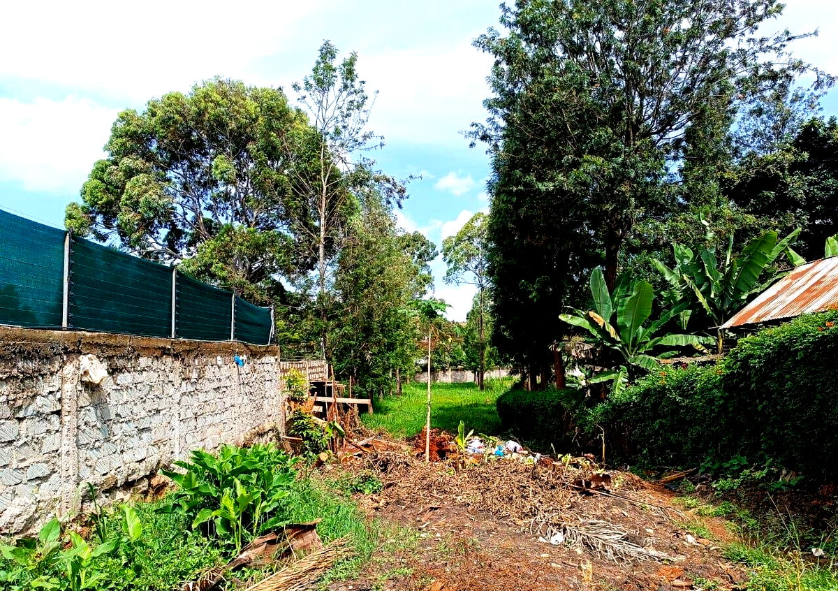 KSh 350K Office Space with Garden