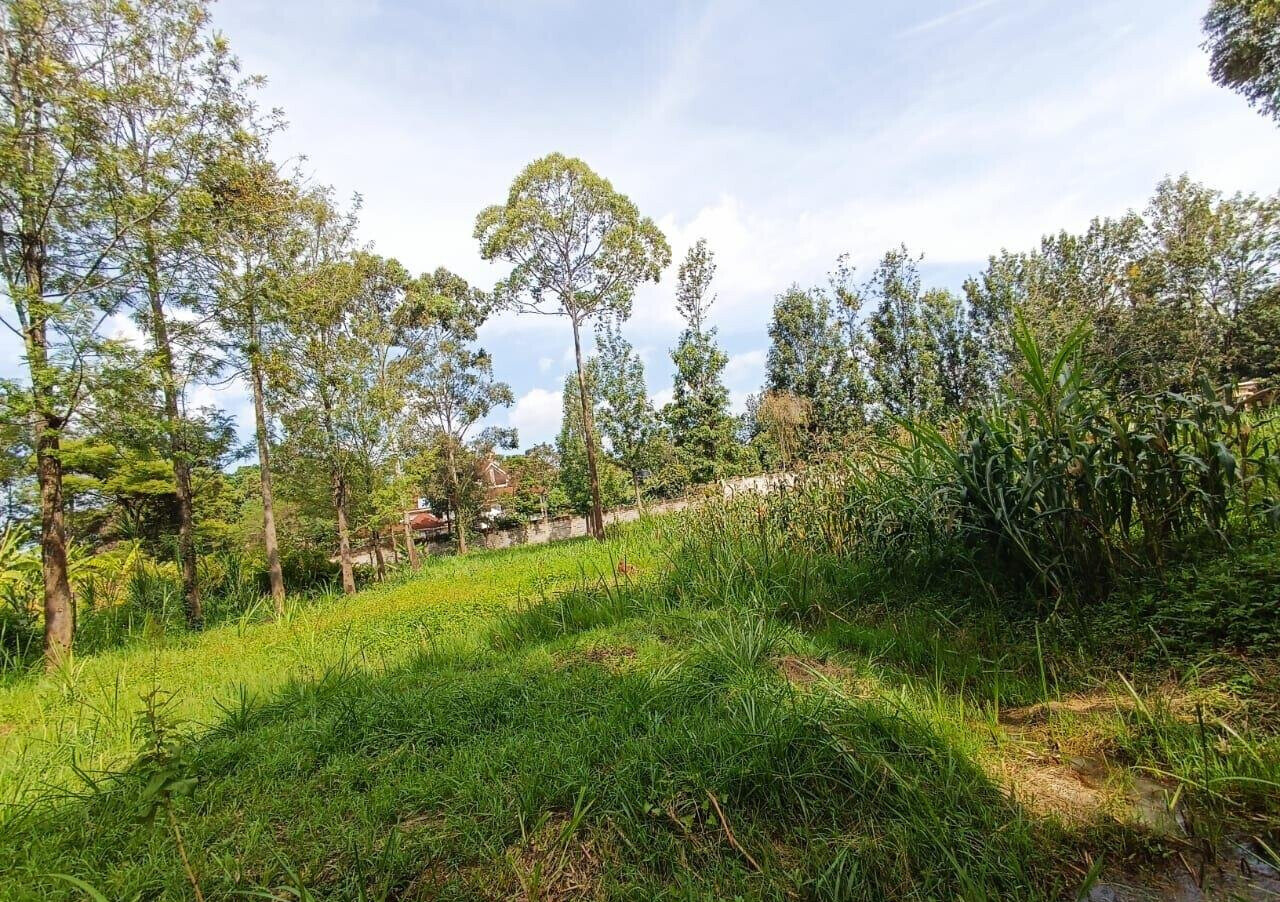 KSh 350K Office Space with Garden
