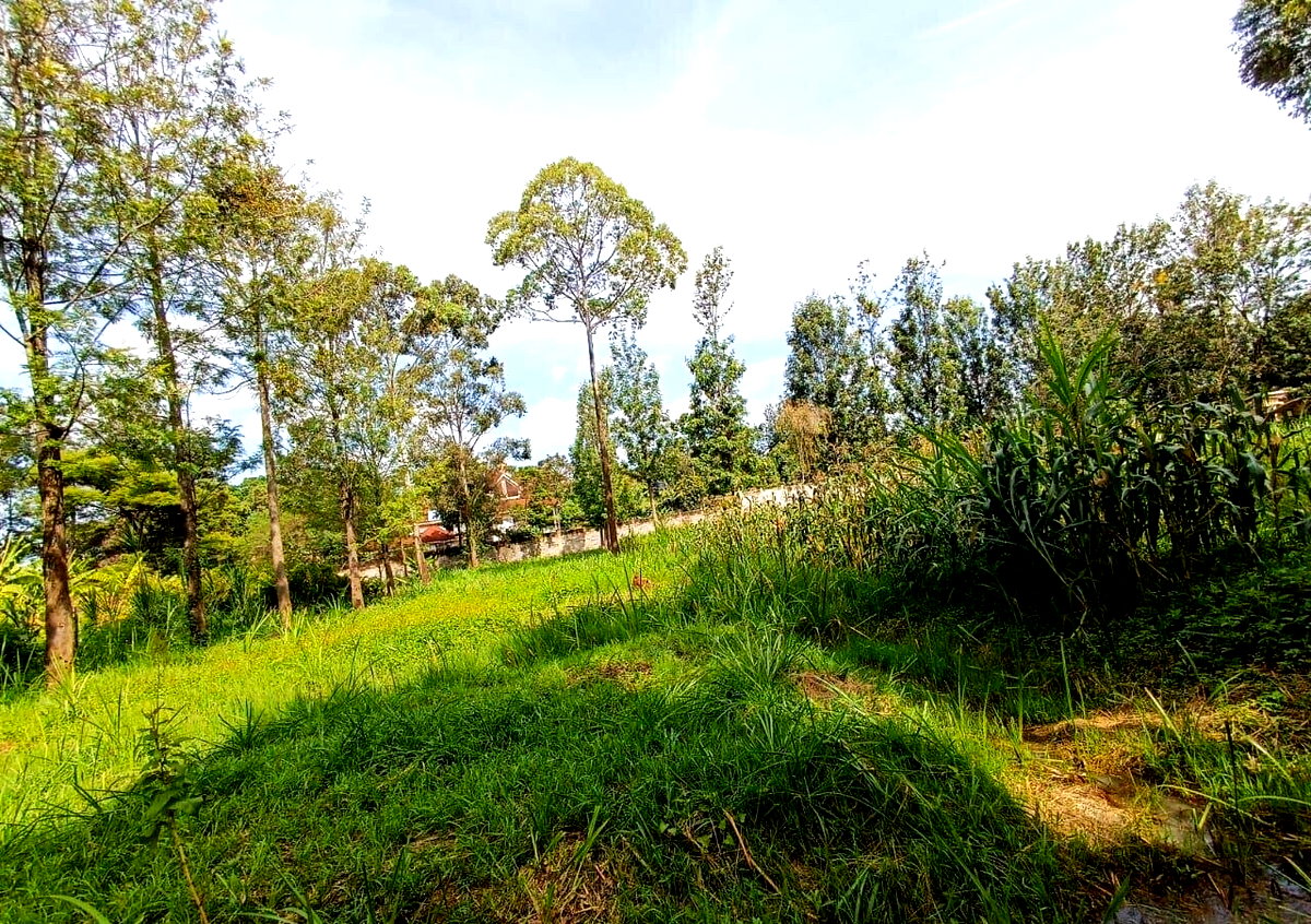 KSh 350K Office Space with Garden