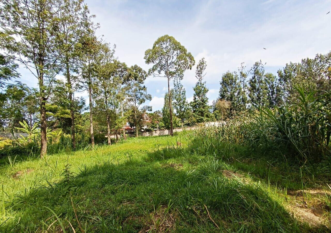 KSh 350K Office Space with Garden