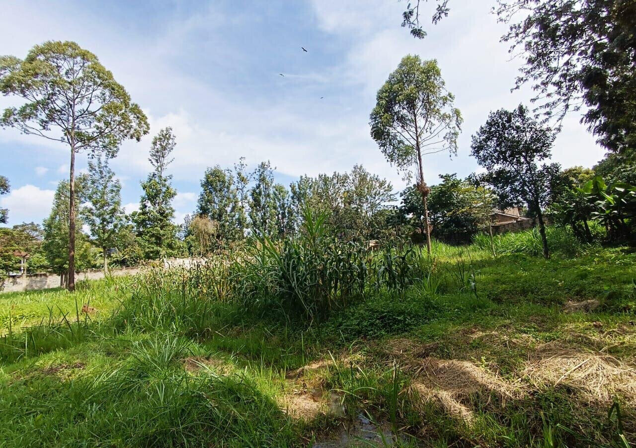 KSh 350K Office Space with Garden