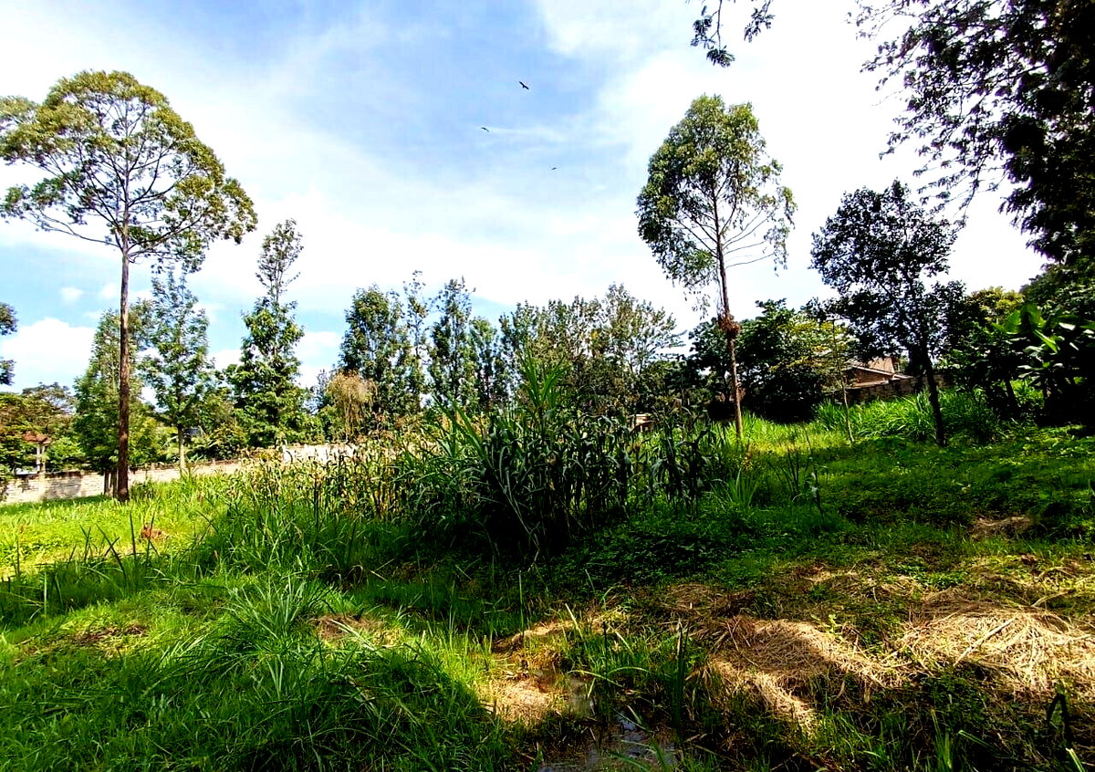 KSh 350K Office Space with Garden