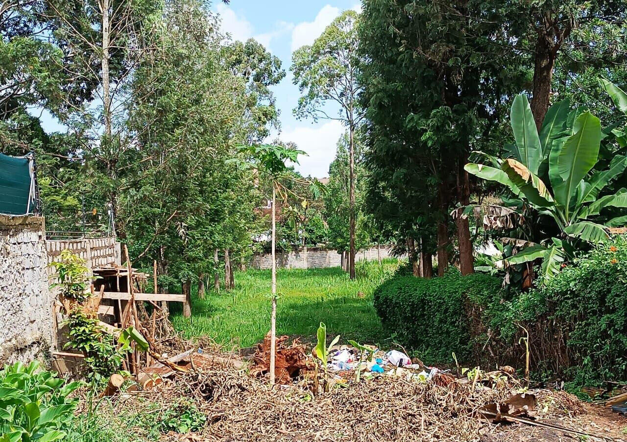 KSh 350K Office Space with Garden