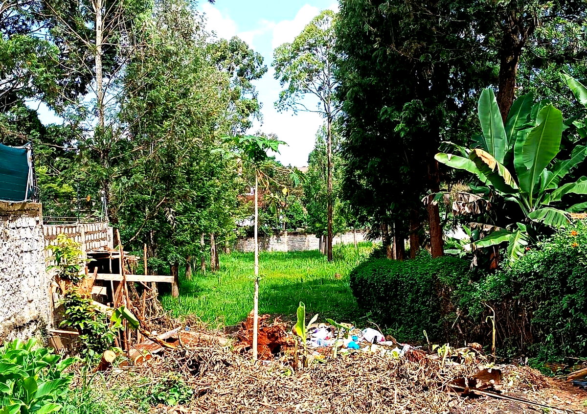 KSh 350K Office Space with Garden