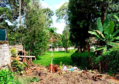 KSh 350K Office Space with Garden